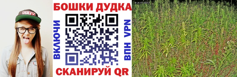Где можно купить наркотики Лермонтов ГАШИШ COCAIN Alpha PVP Марихуана Мефедрон